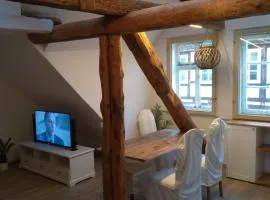 Eulen- & Altstadtnest