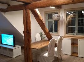 Eulen- & Altstadtnest, vacation rental in Peine