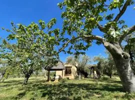 Cottage I Ciliegi with aircon, fenced garden by ToscanaTour