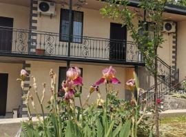 Guest House Eden, hotel near Samgori Metro Station, Tbilisi City