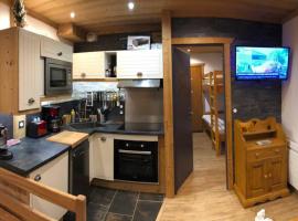 Studio TMB - Le Praz de Lys, Hotel in Le Praz de Lys