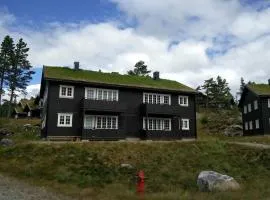 Apartment Gaustablikk