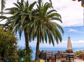 El Palmeral