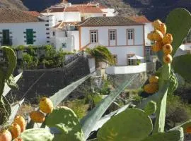 Casa Rural Las Cáscaras Tejeda Gran Canaria