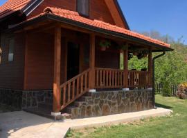 Apartments Bogdanović, hotel in Mokra Gora