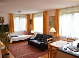 Apartment Denk, pet-friendly hotel in Bregenz