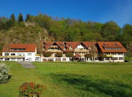 Hotel Walkenstein, ξενοδοχείο σε Oberwolfach