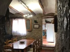 CASA ELISA