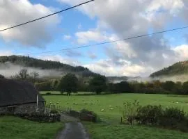 Tyddyn Bach Barn