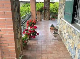 B&B Alba