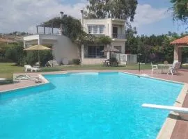 Mega pool and BBQ villa