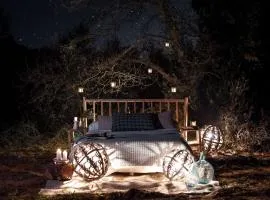 Nits de Bosc