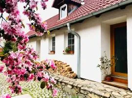 Apartmány Jílovice