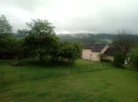 La clématite d olt