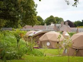 Durrell Wildlife Camp