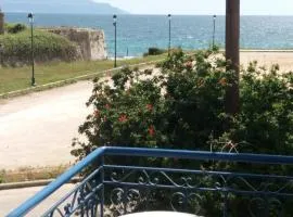 Nestor Sea Studio