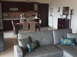 Fotini's Apartment, ξενοδοχείο στη Νέα Πέραμο