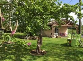 Gîte de la Grenouille