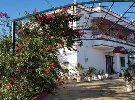 VILLA de LUXE