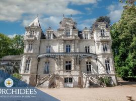 Bed & Breakfast Château Les Orchidées SAUMUR, hotel s bazénem v destinaci Saumur