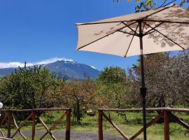 Mount Etna Chalet，Maletto的度假住所