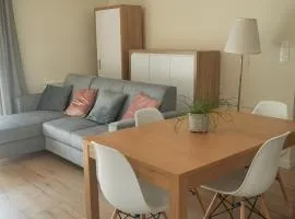 Przytulne mieszkanie w cichej okolicy