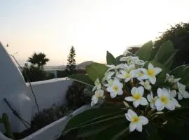 Finca-Las Mariposas 2