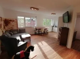 60qm 2 Raum Wohnung nahe dem Stadtzentrum