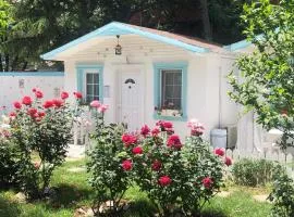 Poyraz Resort