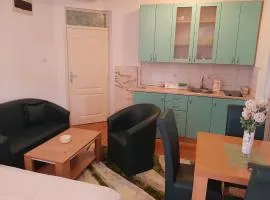 Apartman Zivanovic1