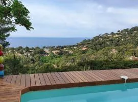 Pretty house with sea view on the Hyères