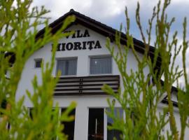 Vila Miorita, hotel s parkovaním v destinácii Sebeş