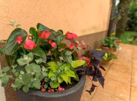 Crni mačak, hotel v destinaci Matulji