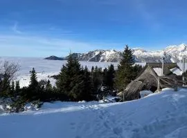 Alpine Chalet Velika Planina - Irenca - I Feel Alps