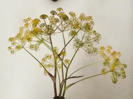 Sa Ferula