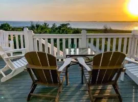 Dolphin Watch - A Side