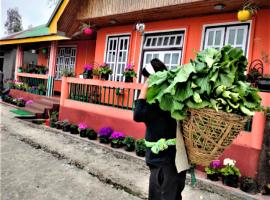 Temi Sarika Homestay, quarto em acomodação popular em Damthang