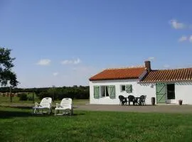 Gîte authentique avec cheminée, terrasse privée, accessible PMR, pêche et activités ULM - Vendée - FR-1-426-431