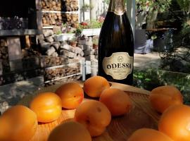 Апартаменты в гостевом доме, hotel v Oděse