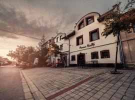 Penzion Hádlík, hotel em Velké Pavlovice