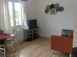 La maison des amis