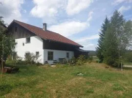 Le Petit Brouillet du bas