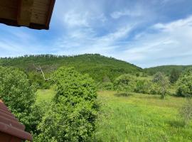 Casa Dea, kotedžas mieste Gladna Montană