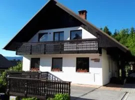 238 Spodnje Gorje
