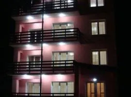Olanesti Apartament