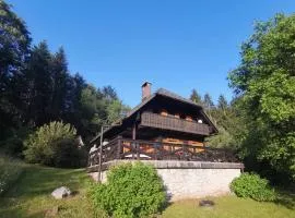 Cottage in the woods - Lake Bohinj