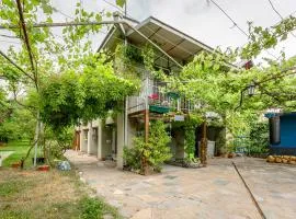 Cheerful Guest House in Aragvispiri on the way to Gudauri