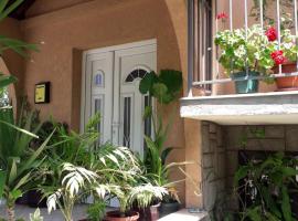 Sokobanja apartman Aviva