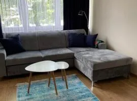 Apartament Mickiewicza 11