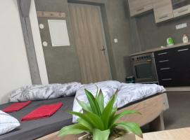 Apartmány V ráji, hotel ve Žďáru